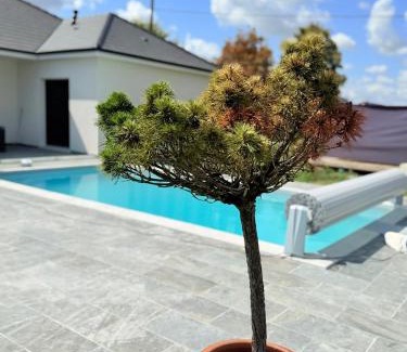 Vasselay Autre | Tiny house - piscine et vélos