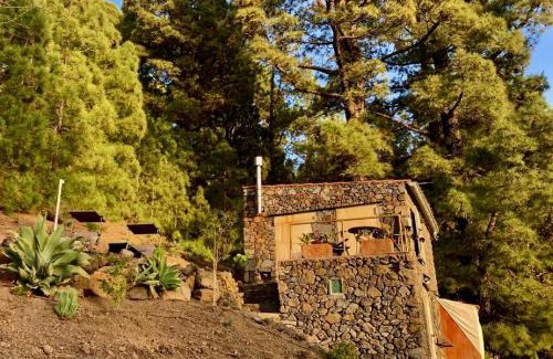 Garafia Maison | Tiny House Vogelnest