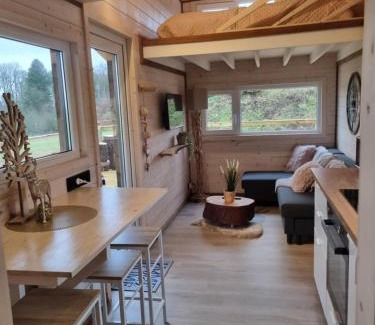 Tinlot Cabine | Tiny housse serenity avec jacuzzi