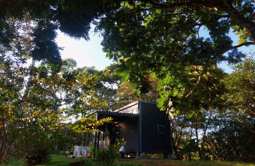 La Palmeria Appartement | Tiny Private Oasis: Nature, Comfort, and Access to Costa Rica's Top Attractions