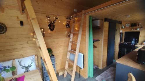 Wasigny Maison | Tiny somniflore