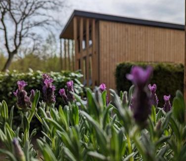 Papenburg Maison | Tinyhouse Daniel