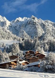 Alpbach Appartement | Tirol Juwel