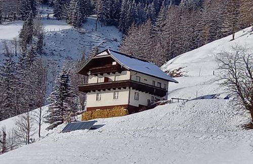 Bad Kleinkirchheim Maison | Tischnerhof Appartements