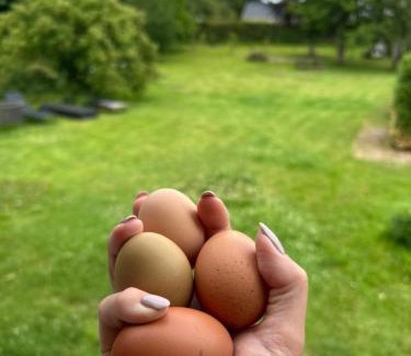 Holbaek Lit Et Petit-Déjeuner | Tjebberupgaard B&B