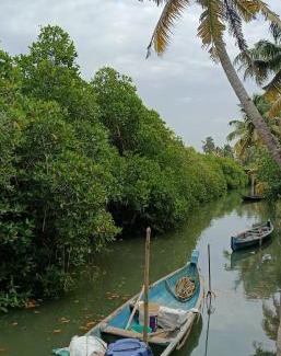 Kayamkulam Appartement | TKM Homestay