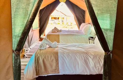 Pilanesberg National Park Autre | Tlou Tribal Lodge