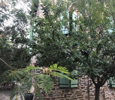 Oletta Lit Et Petit-Déjeuner | To a Book House in Corsica - chambres d'hôtes