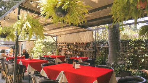 Chapala Centro Hôtel | Toca Madera