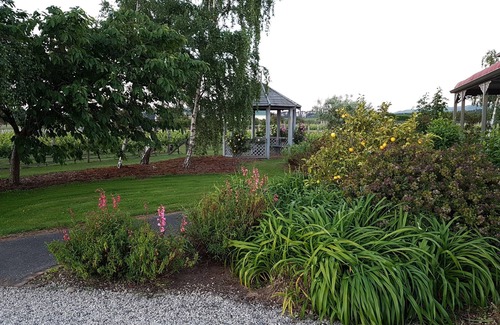 Martinborough Maison | Todd's Cottage and Vineyard in the "fun part" of town.