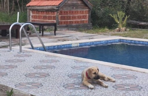 Ortaca Maison | Togo iztuzu Stonehouse-3