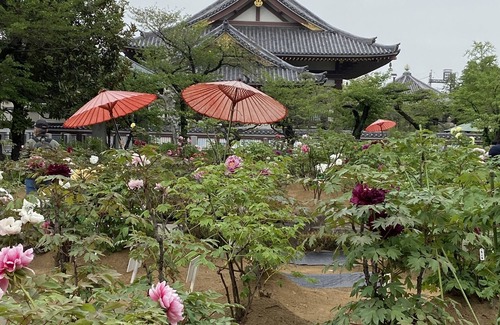 Adachi Maison | ♪ Guesthouse Yamadaya Pratique pour le transport en famille ou entre amis!