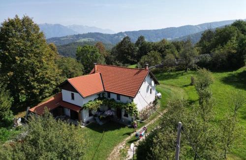 Kambresko Appartement | Tolmin Holiday Home
