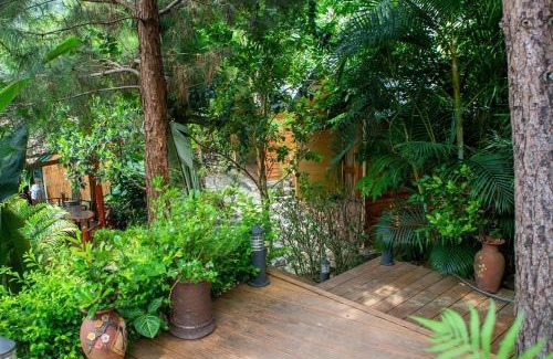 Yen Minh Maison | Tom's Du Già Homestay