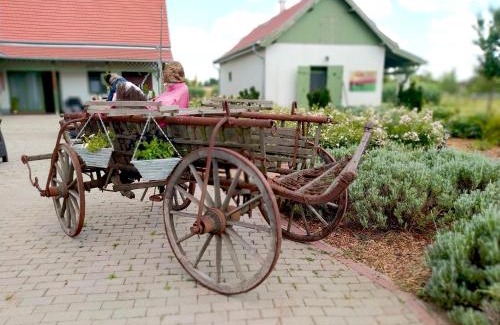 Tomajmonostora Appartement | Tomaj Vendégház