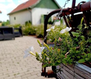 Tomajmonostora Appartement | Tomaj Vendégház