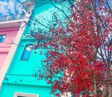 Puli Maison | Tongxin Homestay
