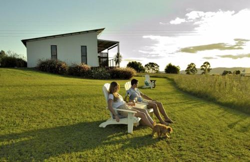Lovedale Hôtel | Tonic Hotel