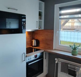 Heringhausen Appartement | Top Ferienwohnung am Diemelsee, Sauerland Nähe Willingen Winterberg