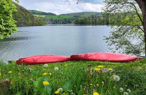 Heringhausen Appartement | Top Ferienwohnung am Diemelsee, Sauerland Nähe Willingen Winterberg