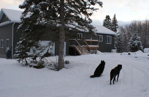 Calvin Lit Et Petit-Déjeuner | Top of Algonquin Bed and Breakfast