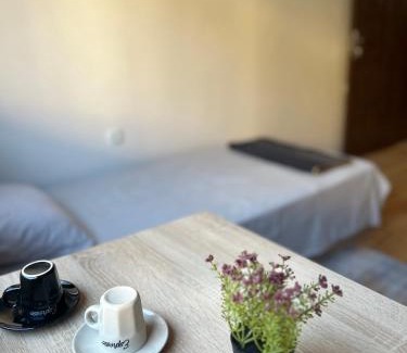 Pleven Appartement | Top Spot Pleven