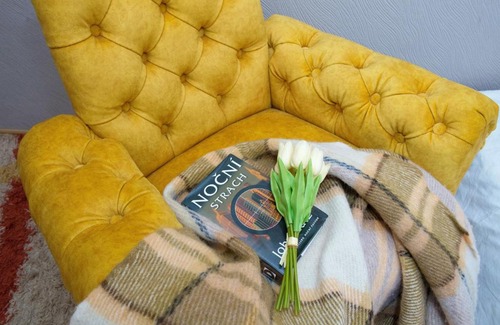Ternopil Appartement | TOPILCHE APARTMENT