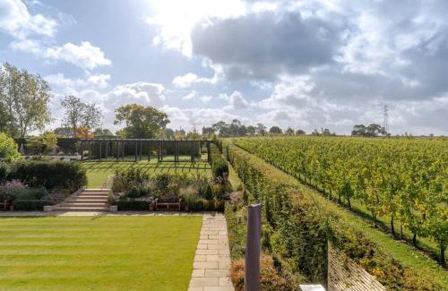 Halstead Villa | Toppesfield Vineyard luxury, contemporary villa - 2 adults