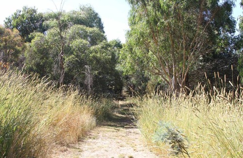 Shadforth Maison | Topsys Corner - large rural house near Orange