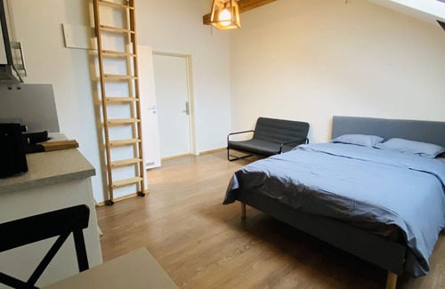 Oslo City Centre Appartement | Torggata Apartments Oslo- Romslig Hel-studio Leilighet Midt i Oslo Sentrum