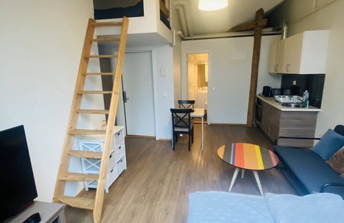 Oslo City Centre Appartement | Torggata Apartments Oslo- Romslig Hel-studio Leilighet Midt i Oslo Sentrum