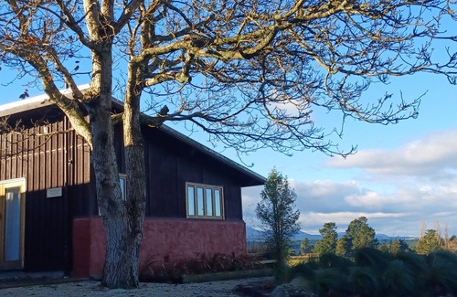 Springfield Maison | Torokiki bach - a place to rejuvinate