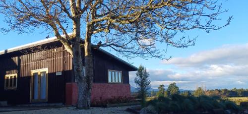 Springfield Chalet De Ski | Torokiki bach