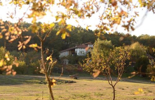 Panton Appartement | Torre Tanquián Eco Finca - Ribeira Sacra
