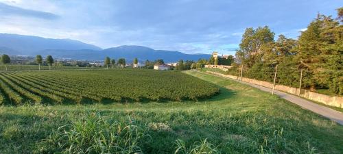 Colle Umberto Maison | Torretta sul Colle