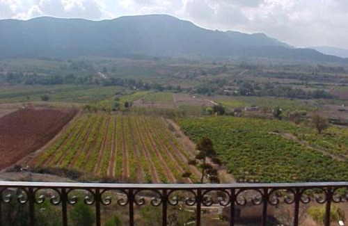 Barbera de la Conca Maison | Tossal del Maig