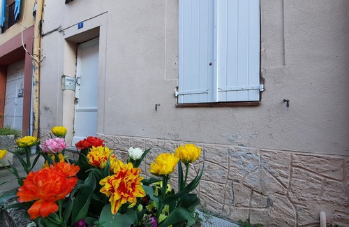Montastruc-la-Conseillere Appartement | Toulouse 15 min renovated 2-person apartment on ground floor 140 cm bed