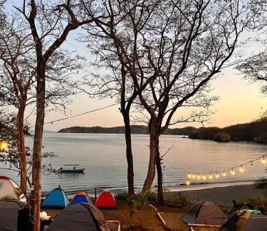 Cerro Plano Autre | Tour de Bioluminisciencia con Camping