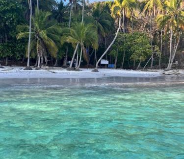 Cerro Plano Autre | Tour de Bioluminisciencia con Camping