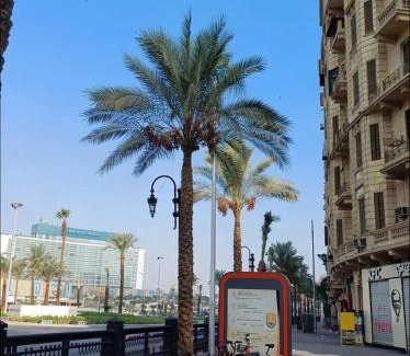 Abdin Hôtel | tourist hotel cairo downtown