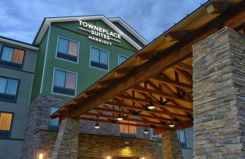 Lone Tree Hôtel | TownePlace Suites by Marriott Denver South/Lone Tree