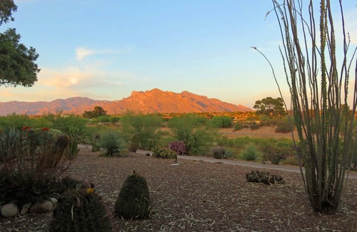 Casas Adobes Maison | Maison de ville: Mountain View à Tucson National, bon rapport qualité-prix