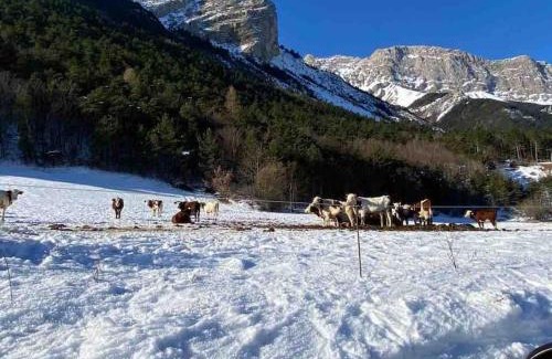 Le Glaizil Maison | Très Grand Gîte équipé à la montagne
