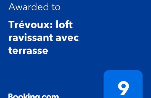 Trevoux Appartement | Trévoux: loft ravissant avec terrasse