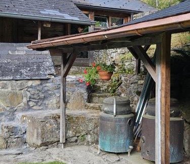 Troistorrents Chalet De Ski | Traditional Chalet with some luxurious features