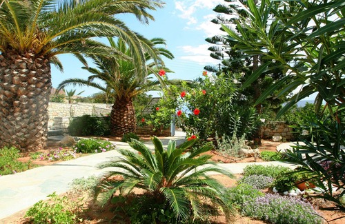 Santa Maria Appartement | Logement dans la plus belle région de Paros, avec beau jardin et plages a pied