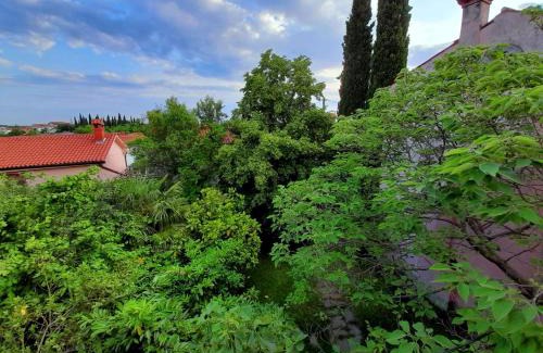 Gazon Maison | Traditional Istrian Stone House