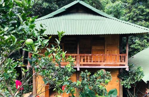 Vi Xuyen Cabine | Trang trại nghỉ dưỡng Việt Thành Hill
