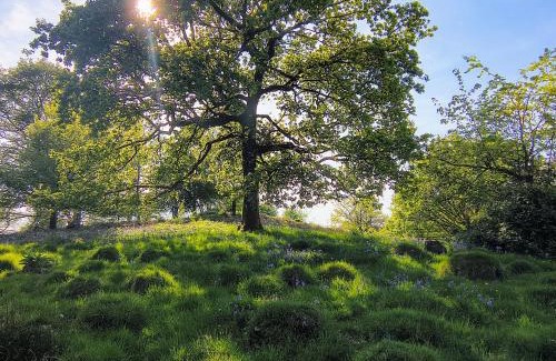 Llandovery Appartement | Tranquil getaway near Brecon Beacons