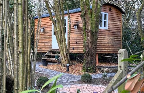 Cinderford Chalet De Ski | Tranquil Spot Shepherds Hut